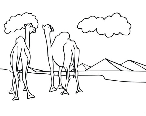 Two Camels Look At Pyramids Coloring Page